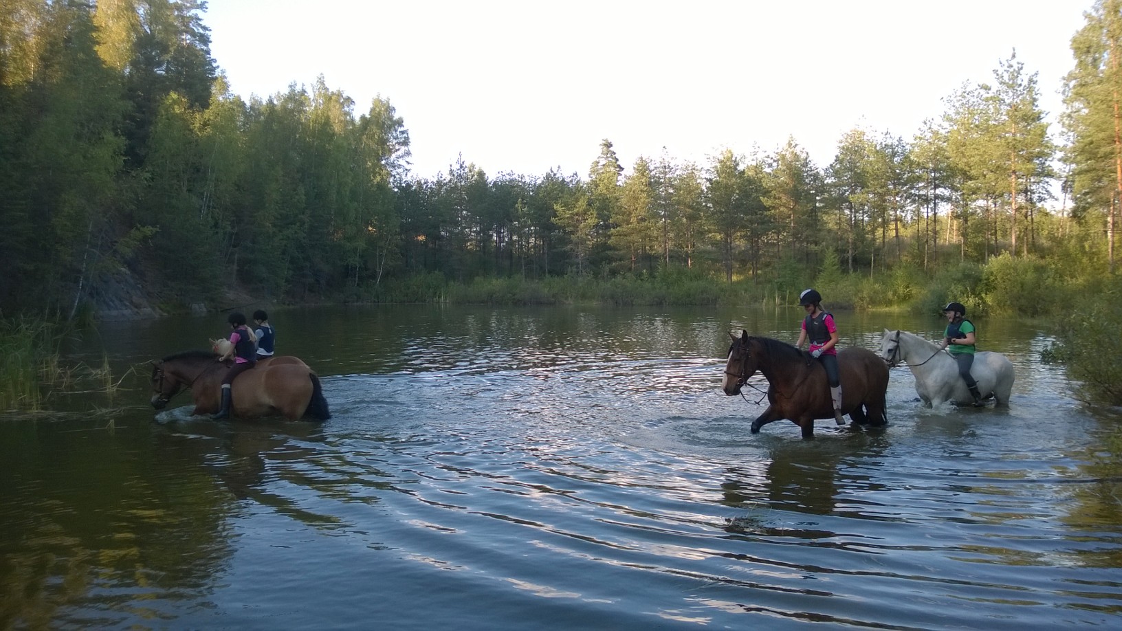 Hevoset rakastavat vedessä polskuttelua